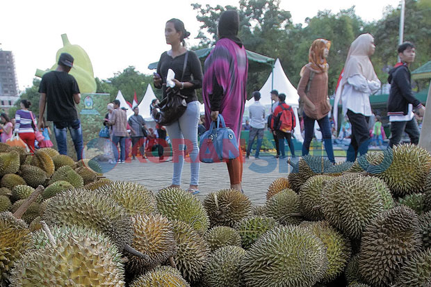 Festival Durian Kurang Meriah