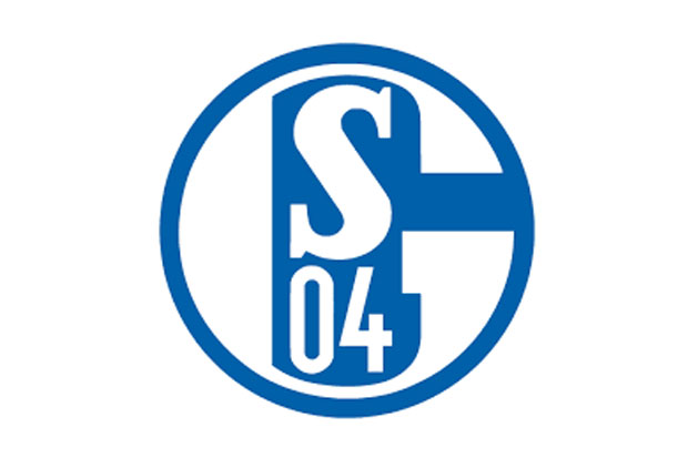 Schalke Fokus Liga Champions