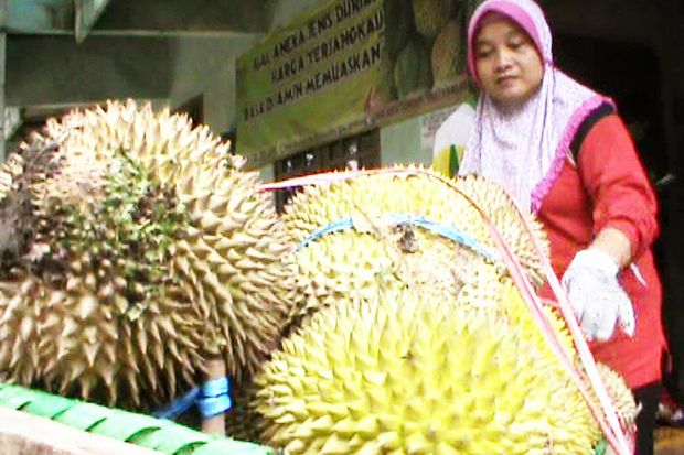 Wisata ke Kampung Durian di Jombang