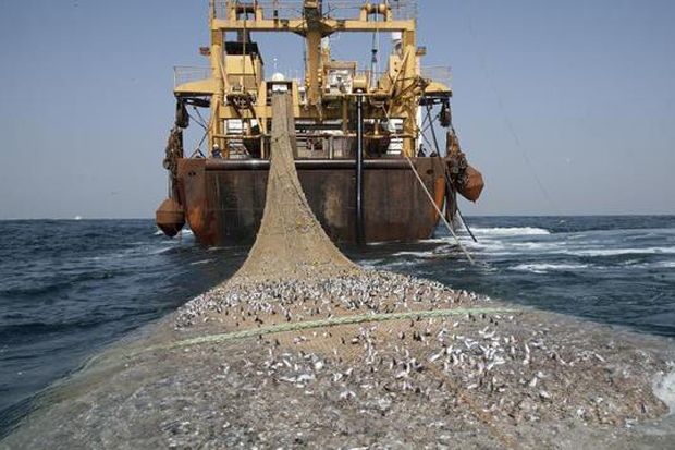 KKP Siap Musnahkan Alat Tangkap Ikan Ilegal