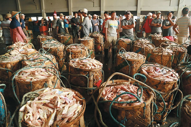Ekspor Ikan Nasional Tak Capai Target