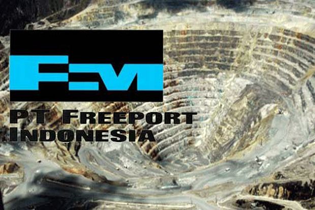 Freeport: Bangun Smelter di Papua Terkendala Infrastruktur