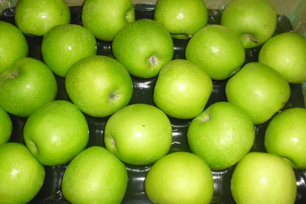 Aprindo: Apel Berbakteri Tak Pengaruhi Penjualan Buah