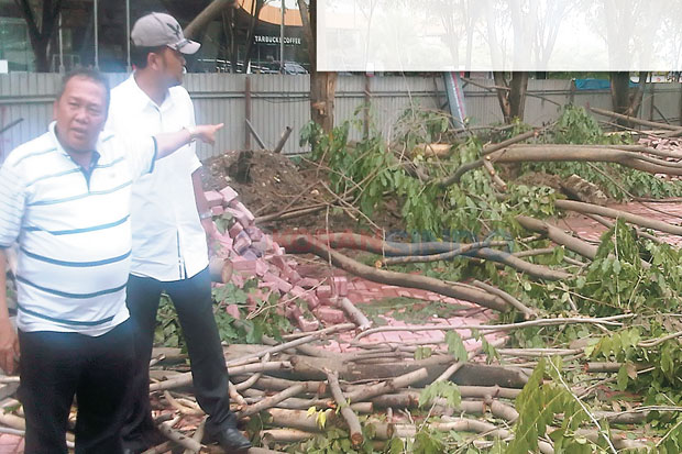 Babat 21 Pohon Kota, A Residence Dilaporkan ke Polisi