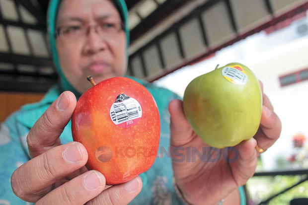 Apel Impor Berbakteri Masih Dijual Bebas di Parepare