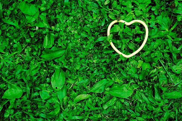Tunjukkan Cinta Lingkungan di Hari Valentine