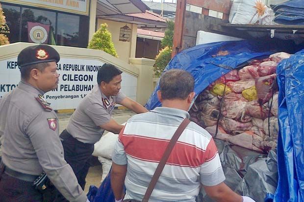 Sopir Pembawa Daging Celeng Dibayar Rp5 Juta