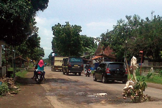 Berlubang, Jalan Provinsi Ditanami Pohon
