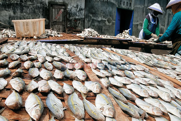 Kota Tegal Jadi Percontohan Peningkatan Konsumsi Ikan