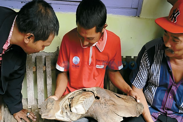 Fosil Gajah Purba Ditemukan di Sungai Layangan
