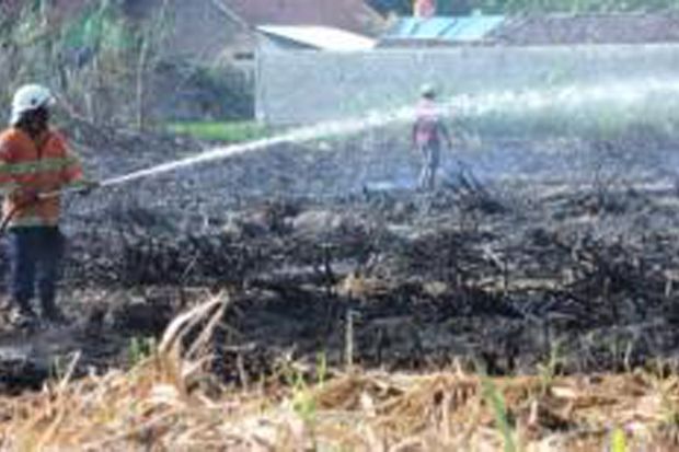 10 Hektare Lahan di Pelalawan Terbakar