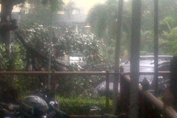Hujan dan Angin Kencang, Mobil Pegawai DPRD DIY Tertimpa Pohon