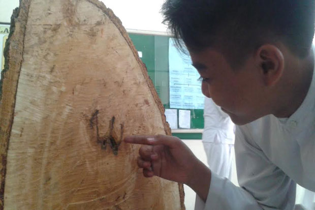 Batang Pohon Berlafal Allah Hebohkan Pelajar di Serang