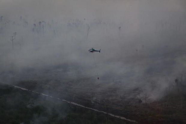 Kebakaran Hutan di Riau Meluas, RAPP Jatuhkan Bom Air