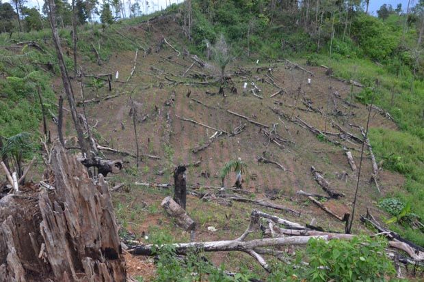 Hutan Seluas 600 Hektare di Garut Rusak