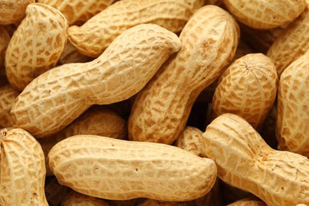 Kacang Tanah Dapat Cegah Alergi?