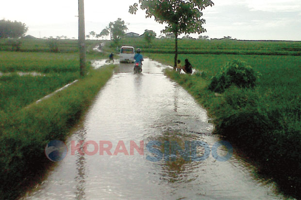 Banjir Rendam Puluhan Hektare Sawah