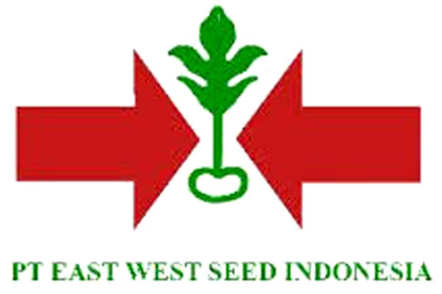 Ewindo Ekspansi ke Indonesia Timur