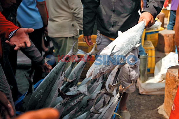 Tuna Indonesia Dihargai Lebih Tinggi