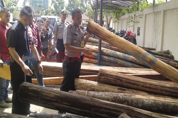 Empat Pelaku Illegal Logging Diamankan