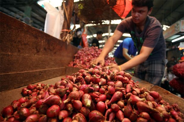 Petani Bawang Merah Berharap Pemerintah Tak Buka Impor