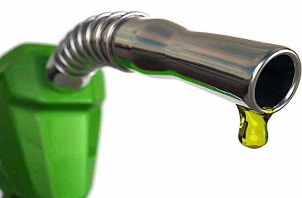 Tanggapan Menteri Siti Kapasitas Biofuel Dinaikkan Jadi 15%