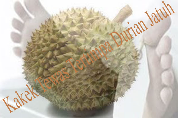 Kakek Tewas Tertimpa Durian Jatuh