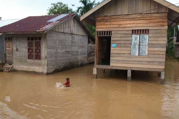Banjir Rendam Dua Kecamatan di Aceh Jaya