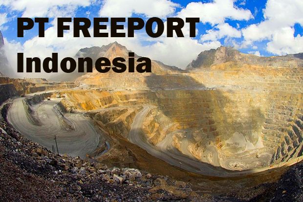 Pemerintah Desak Freeport Teken MoU Smelter di Papua