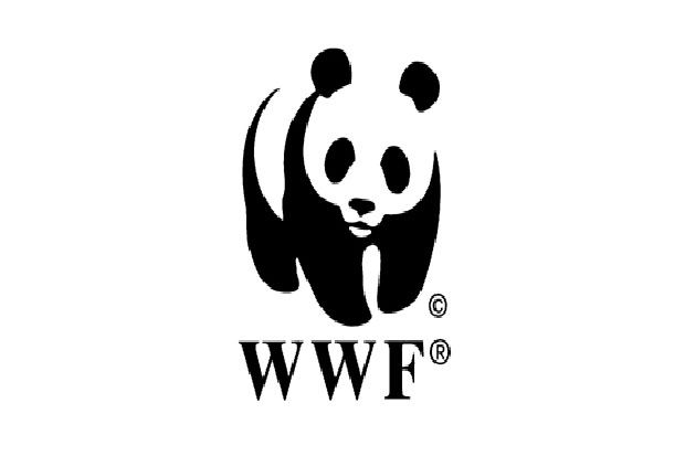 WWF Ingatkan, Hiu Bukan Bahan Konsumsi