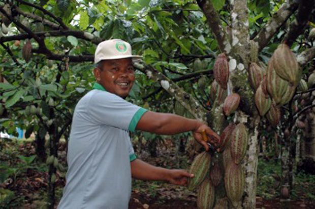 Mondelez Berdayakan Petani Kakao di Indonesia