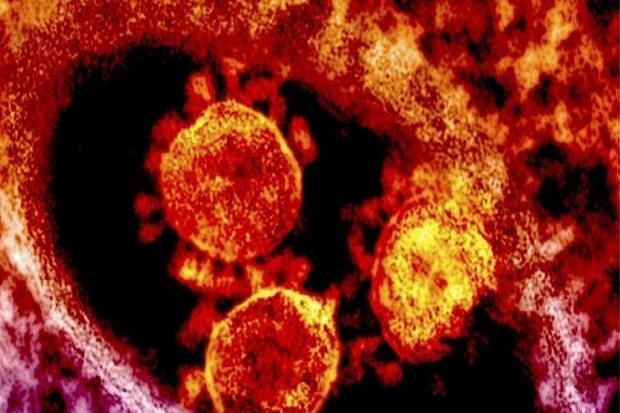 Virus MERS untuk Pertama Kali Muncul di China