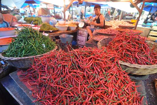 Mentan Sidak Pedagang di Pasar Terong Makassar