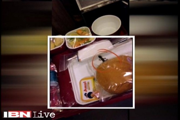 Heboh, Cicak di Makanan Penumpang Air India