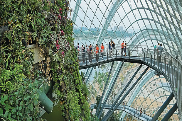 Ruang Hijau Wajib Eksplorasi Di Singapura