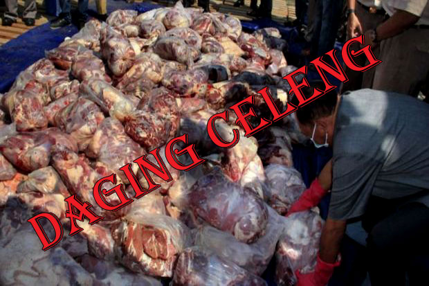 Polisi Gerebek Gudang Daging Celeng
