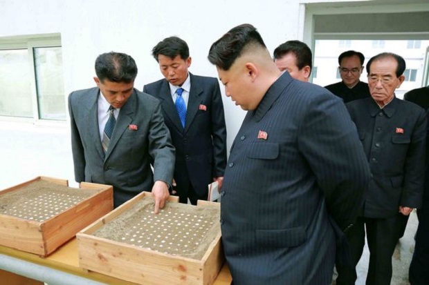 Kim Jong-un Eksekusi Bos Akuarium setelah Penyu Mati Kelaparan