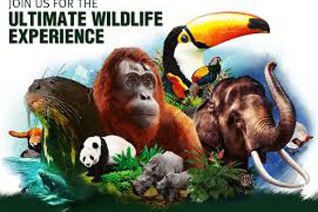 4 Tempat Wisata Kebun Bintang di Wildlife Reservers Singapura