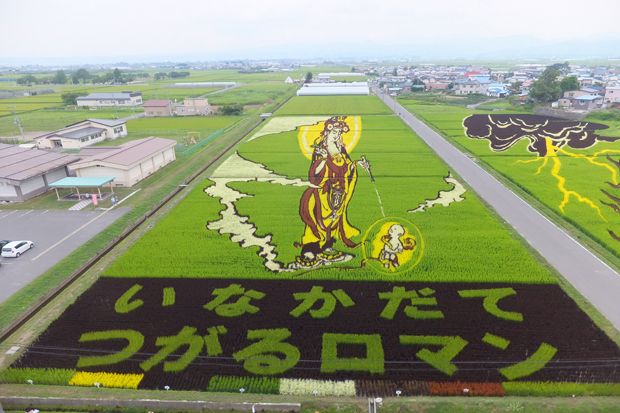 Seni Menanam Padi Ala Petani Jepang