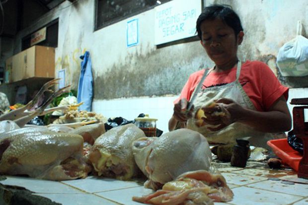 Harga Daging Ayam di Daerah Melonjak