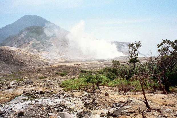 BKSDA Hitung Kerugian Kebakaran Gunung Papandayan