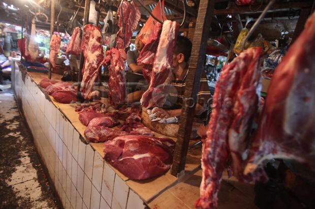 Pemerintah Minta Bulog Tuntaskan Kekosongan Daging Sapi