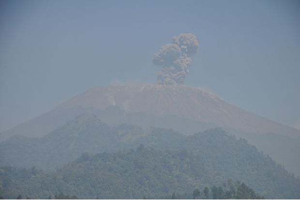 Kebakaran Juga Melanda Gunung Slamet