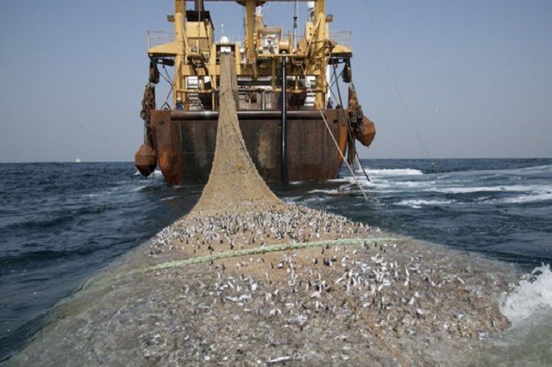 Rusia Siap Bantu Indonesia Atasi Pencurian Ikan‬