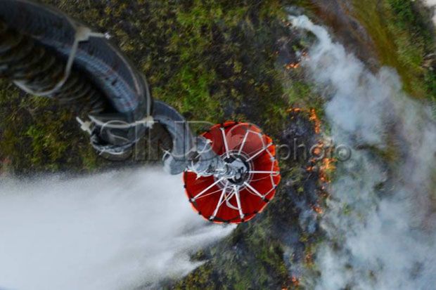 Hutan Gunung Kawi Terbakar
