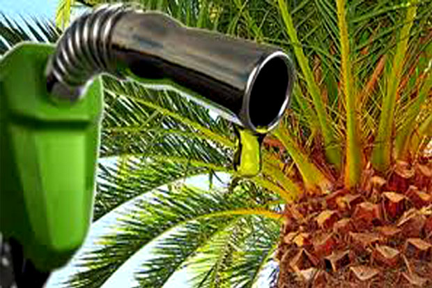 Penyerapan Biodiesel Ditingkatkan