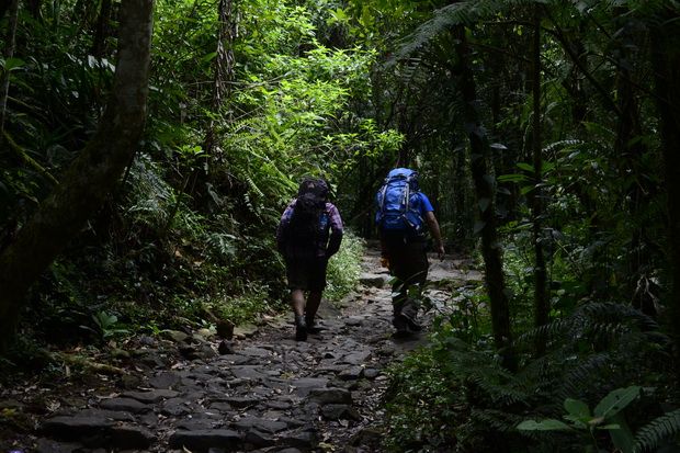 Puncak Gunung Slamet Terbakar, Pendakian Ditutup