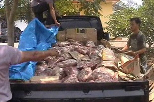 Upaya Penyelundupan 1,2 Ton Daging Celeng ke Tangerang Digagalkan