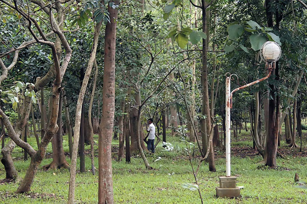 Revitalisasi Hutan Kota Malabar Batal
