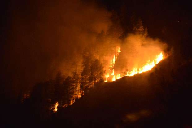 Api Masih Membakar Hutan Lindung di Luwu Timur